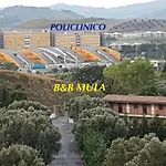Mula Germaneto 3*