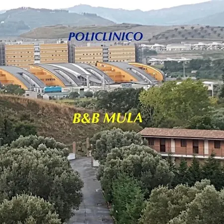 Mula Germaneto 3*
