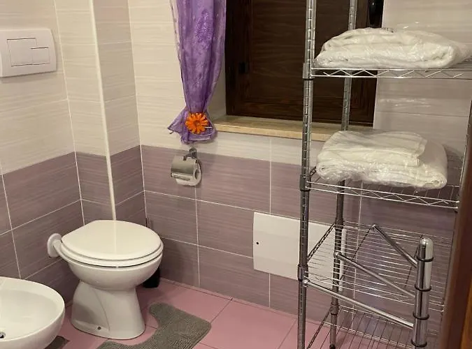 Mula Germaneto Santa Maria